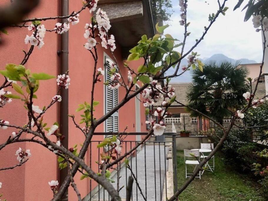 Giuditta Freecarpark&Garden 多莫多索拉 外观 照片